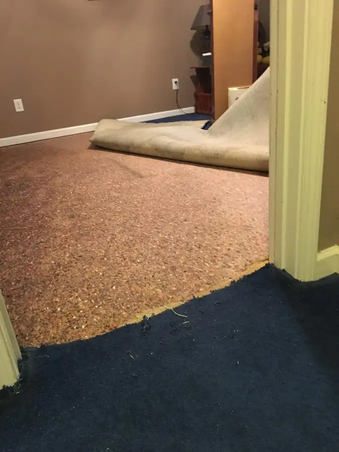 Carpet pad removal revealing water damage during Drying & Dehumidification in Belpre